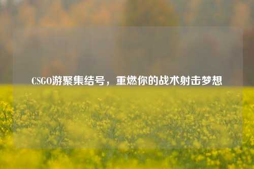 CSGO游聚集结号,重燃你的战术射击梦想