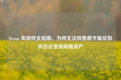 Steam 卖游戏全指南,为何无法转售数字版及如何合法变现闲置资产