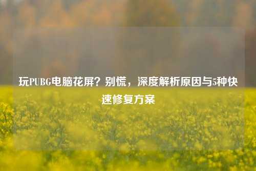 玩PUBG电脑花屏?别慌,深度解析原因与5种快速修复方案
