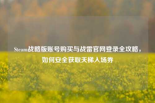 Steam战略版账号购买与战雷官网登录全攻略，如何安全获取天梯入场券