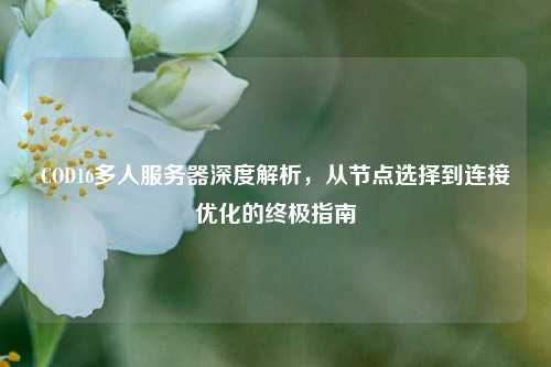 COD16多人服务器深度解析,从节点选择到连接优化的终极指南