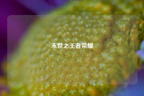 末世之王者荣耀