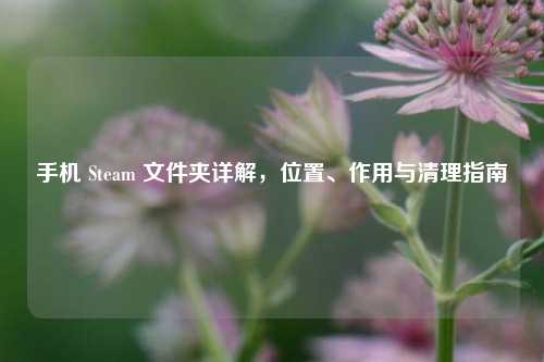 手机 Steam 文件夹详解,位置、作用与清理指南