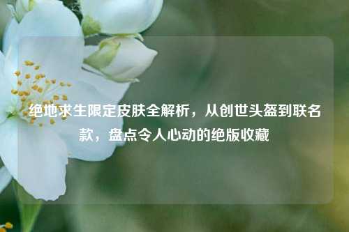 绝地求生限定皮肤全解析,从创世头盔到联名款,盘点令人心动的绝版收藏