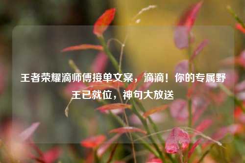 王者荣耀滴师傅接单文案,滴滴!你的专属野王已就位,神句大放送