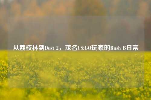 从荔枝林到Dust 2,茂名CS:GO玩家的Rush B日常