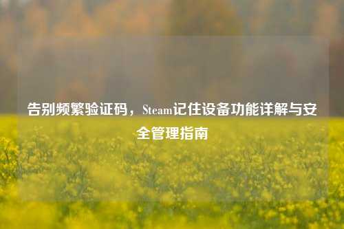 告别频繁验证码,Steam记住设备功能详解与安全管理指南