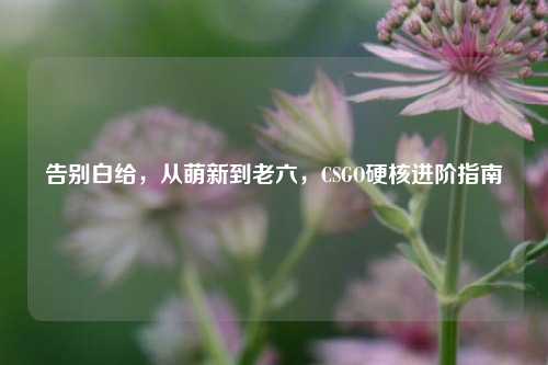 告别白给,从萌新到老六,CSGO硬核进阶指南