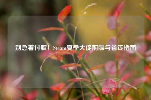 别急着付款!Steam夏季大促前瞻与省钱指南