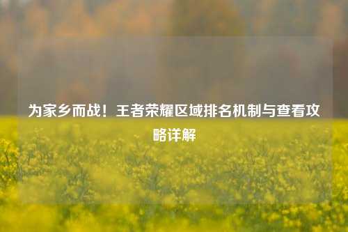 为家乡而战!王者荣耀区域排名机制与查看攻略详解