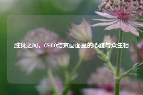 胜负之间,CS:GO结束画面里的心跳与众生相