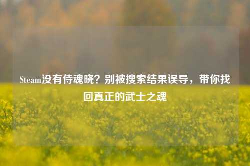 Steam没有侍魂晓?别被搜索结果误导,带你找回真正的武士之魂