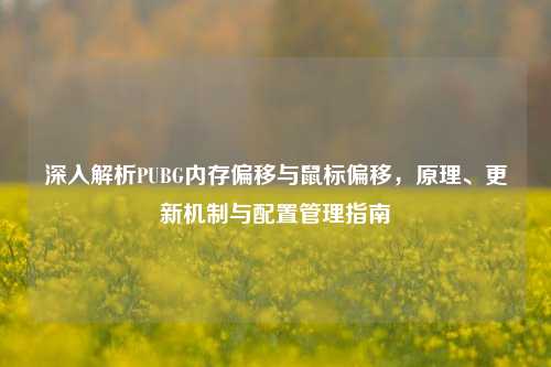 深入解析PUBG内存偏移与鼠标偏移，原理、更新机制与配置管理指南