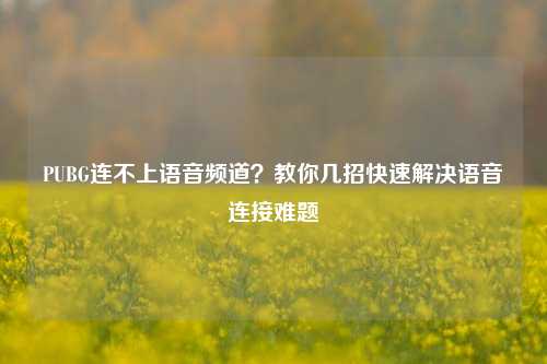 PUBG连不上语音频道？教你几招快速解决语音连接难题