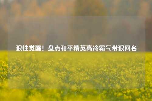 狼性觉醒！盘点和平精英高冷霸气带狼网名