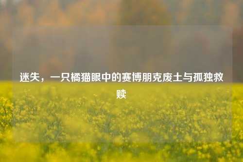 迷失，一只橘猫眼中的赛博朋克废土与孤独救赎
