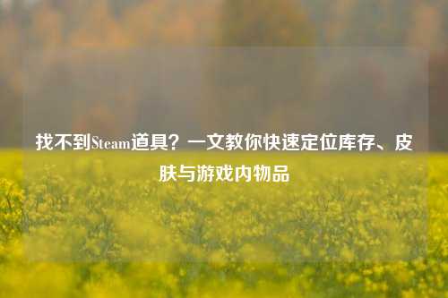 找不到Steam道具？一文教你快速定位库存、皮肤与游戏内物品