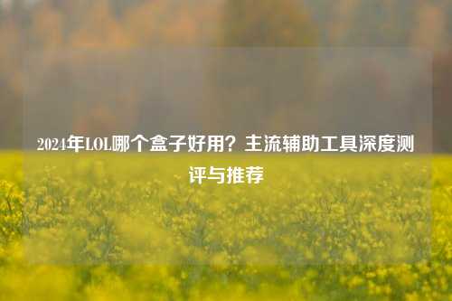 2024年LOL哪个盒子好用？主流辅助工具深度测评与推荐