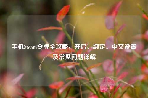 手机Steam令牌全攻略，开启、绑定、中文设置及常见问题详解