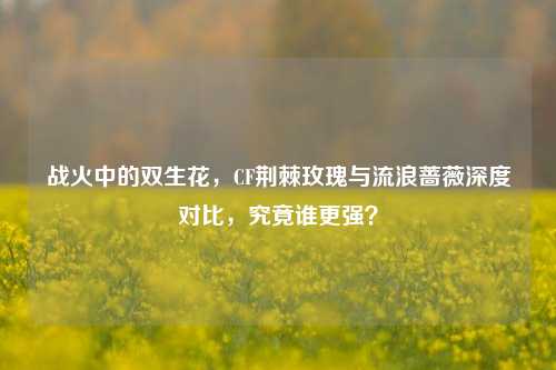 战火中的双生花，CF荆棘玫瑰与流浪蔷薇深度对比，究竟谁更强？