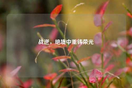 战逆，绝境中重铸荣光