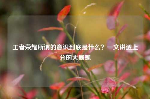 王者荣耀所谓的意识到底是什么？一文讲透上分的大局观