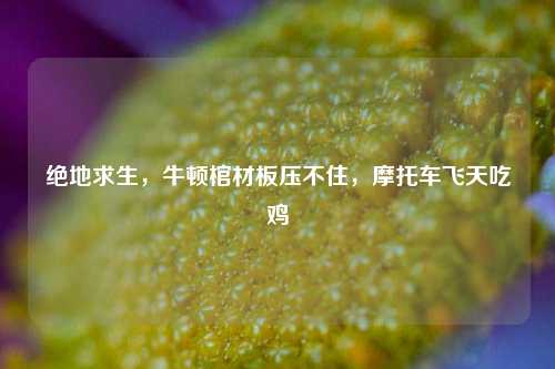 绝地求生，牛顿棺材板压不住，摩托车飞天吃鸡