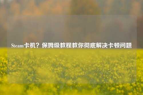 Steam卡机？保姆级教程教你彻底解决卡顿问题
