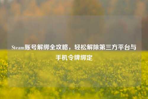Steam账号解绑全攻略，轻松解除第三方平台与手机令牌绑定