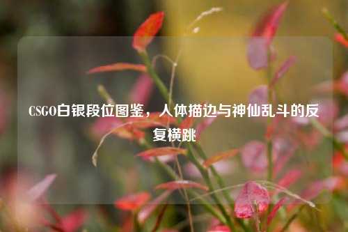 CSGO白银段位图鉴，人体描边与神仙乱斗的反复横跳