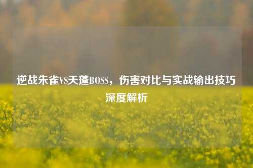 逆战朱雀VS天蓬BOSS，伤害对比与实战输出技巧深度解析