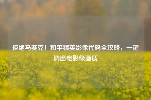 拒绝马赛克！和平精英影像代码全攻略，一键调出电影级画质