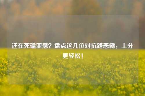 还在死磕亚瑟？盘点这几位对抗路恶霸，上分更轻松！