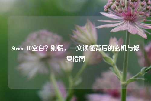 Steam ID空白？别慌，一文读懂背后的玄机与修复指南