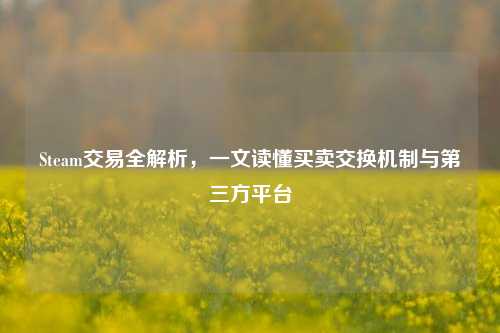 Steam交易全解析，一文读懂买卖交换机制与第三方平台