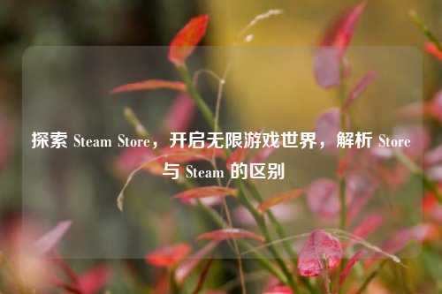 探索 Steam Store，开启无限游戏世界，解析 Store 与 Steam 的区别