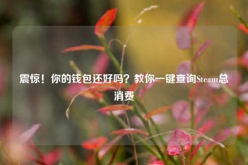 震惊！你的钱包还好吗？教你一键查询Steam总消费