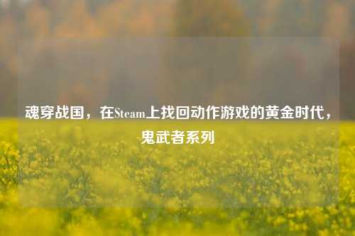 魂穿战国，在Steam上找回动作游戏的黄金时代，鬼武者系列