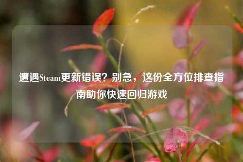 遭遇Steam更新错误？别急，这份全方位排查指南助你快速回归游戏