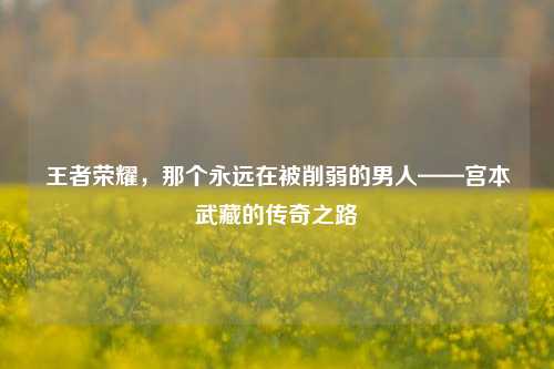 王者荣耀,那个永远在被削弱的男人——宫本武藏的传奇之路