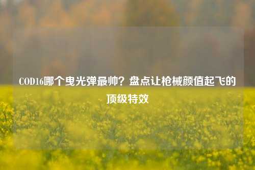 COD16哪个曳光弹最帅?盘点让枪械颜值起飞的顶级特效