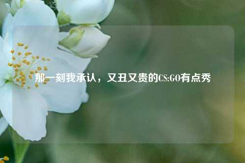 那一刻我承认,又丑又贵的CS:GO有点秀