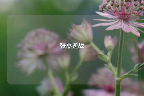 张杰逆战