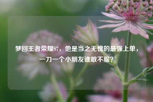 梦回王者荣耀S7,他是当之无愧的最强上单,一刀一个小朋友谁敢不服?