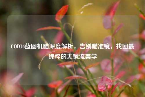 COD16蓝图机瞄深度解析,告别瞄准镜,找回最纯粹的无镜流美学