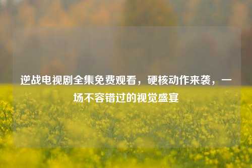 逆战电视剧全集免费观看,硬核动作来袭,一场不容错过的视觉盛宴