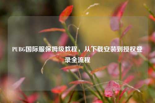 PUBG国际服保姆级教程,从下载安装到授权登录全流程