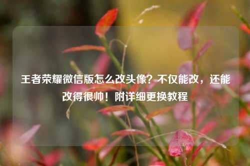 王者荣耀微信版怎么改头像?不仅能改,还能改得很帅!附详细更换教程