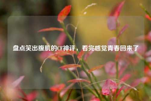 盘点笑出腹肌的CF神评,看完感觉青春回来了
