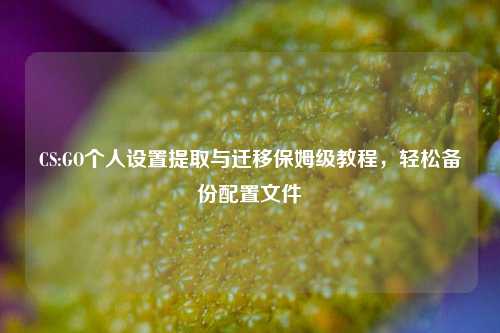 CS:GO个人设置提取与迁移保姆级教程,轻松备份配置文件